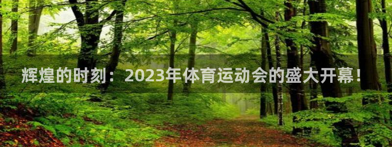 意昂32平台：辉煌的时刻：2023年体育运动会的盛大开幕！