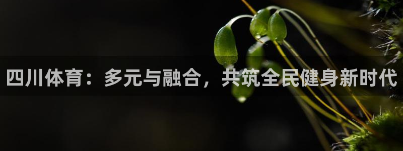 意昂32体育：四川体育：多元与融合，共筑全民健身新时代