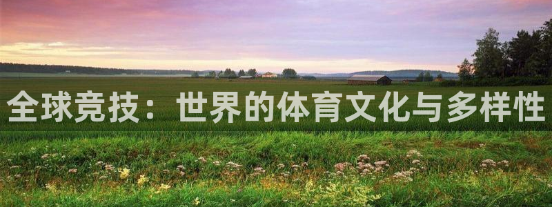 意昂3包怎么样：全球竞技：世界的体育文化与多样性