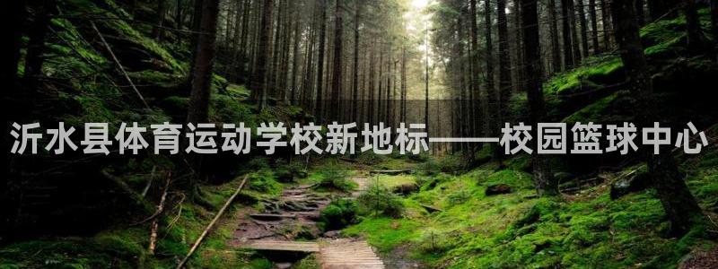 意昂3平台：沂水县体育运动学校新地标——校园篮球中心