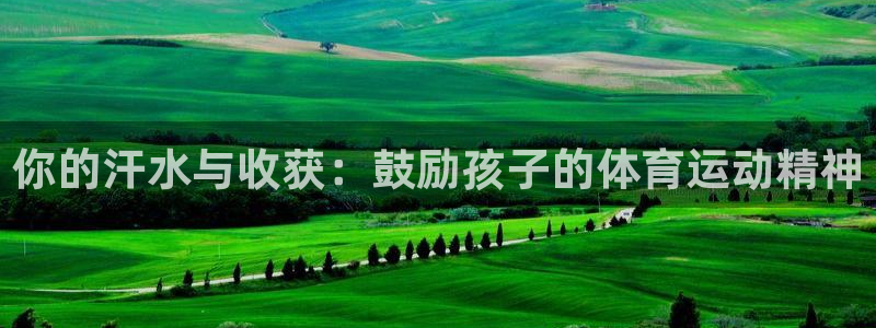 意昂3体育：你的汗水与收获：鼓励孩子的体育运动精神