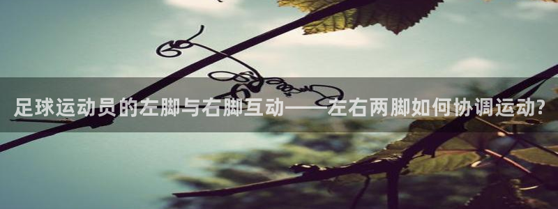 东莞市意昂3电子科技有限公司：足球运动员的左脚与右脚互动——左右两脚如何协调运动