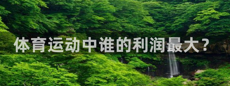 意昂33登录：体育运动中谁的利润最大？