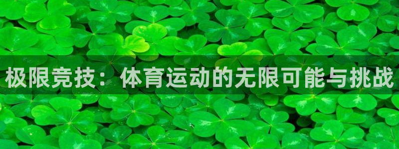 意昂32登录地址：极限竞技：体育运动的无限可能与挑战