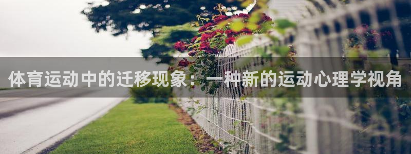 意昂3娱乐