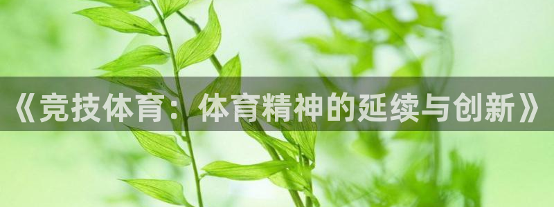 意昂3体育凯捷登陆：《竞技体育：体育精神的延续与创新》