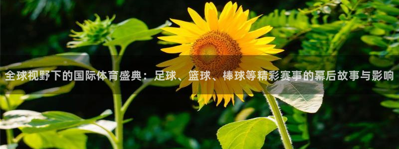 意昂33注册：全球视野下的国际体育盛典：足球、篮球、棒球等精彩赛事的幕后故事与影响