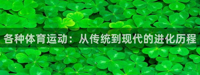 意昂3平台招商：各种体育运动：从传统到现代的进化历程