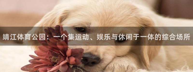 意昂3电子有限公司：靖江体育公园：一个集运动、娱乐与休闲于一体的综合场所