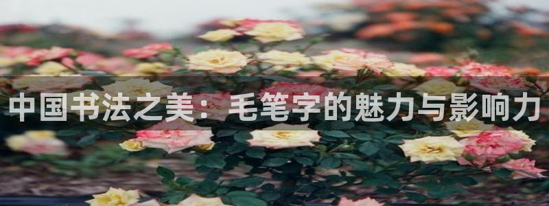 福建意昂3机电股份公司：中国书法之美：毛笔字的魅力与影响力