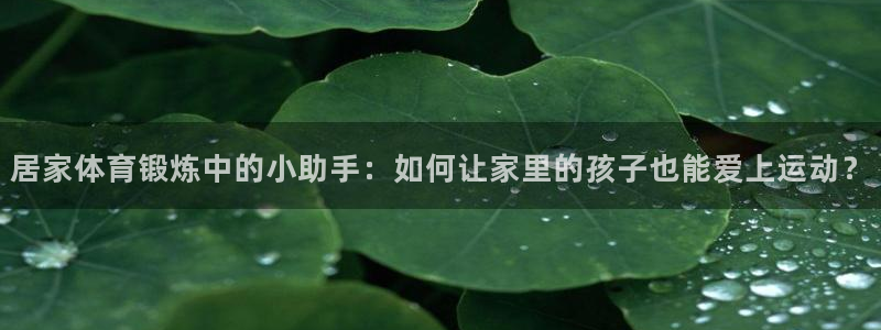 意昂3体育用品：居家体育锻炼中的小助手：如何让家里的孩子也能爱上运动？