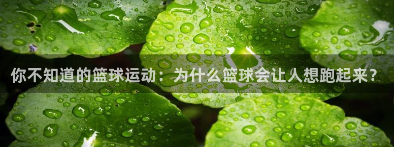 意昂32平台注册：你不知道的篮球运动：为什么篮球会让人想跑起来？