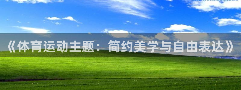 意昂3注册：《体育运动主题：简约美学与自由表达》